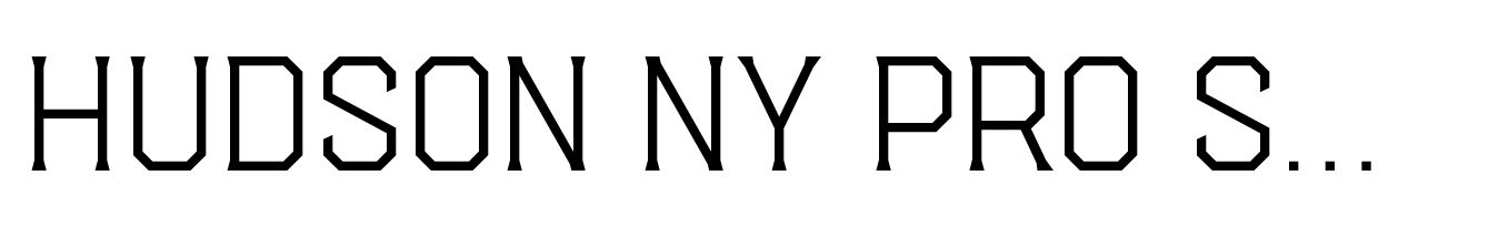Hudson NY Pro Serif Variable